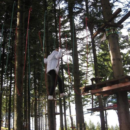 Holiday Home In Bohemia Near Ski Area And Forests อาเบอร์ตามี ภายนอก รูปภาพ